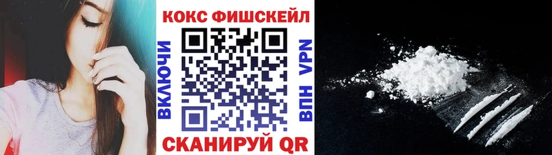 купить наркоту  Новая Ладога  COCAIN VHQ 