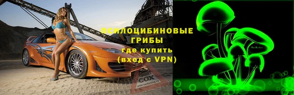 ECSTASY Покровск